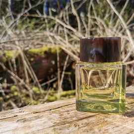 Illusione (Eau de Toilette) - Bottega Veneta