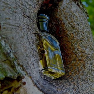 Tuscany per Uomo / Etruscan (Eau de Toilette) - Aramis