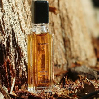 Scherrer 2 (Eau de Parfum) by Jean-Louis Scherrer
