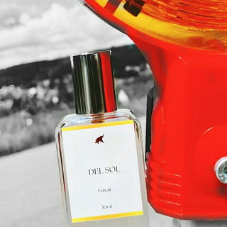 Del Sol von Zakir Gafur