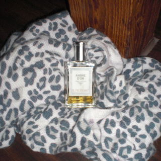 Ambre d'Or - Il Profvmo