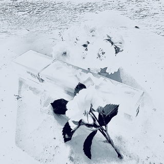 DKNY Women (Energizing Eau de Parfum) - DKNY