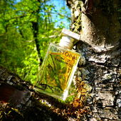 Danke für Eure netten Anmerkungen, freut mich  :-) (von Pistazieneis)