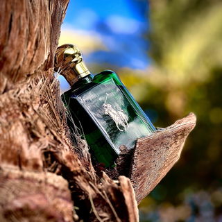 Polo (Eau de Toilette) von Ralph Lauren