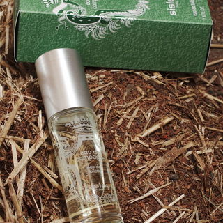 Eau de Schildkrötenterrarium