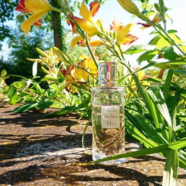 Das Städtchen Überlingen mit seinem mediterranen Flair hat sich für die Landesgartenschau 2020 herausgeputzt - jetzt verschoben auf 2021
