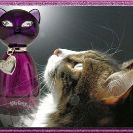 Purr (Eau de Parfum) - Katy Perry