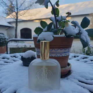 Muschio von Santa Maria Novella