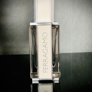 Ferragamo Bright Leather - Salvatore Ferragamo