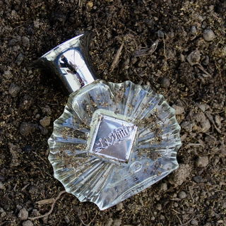 Le Mitti - Areej Le Doré