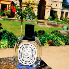 Eau de Lierre - Diptyque