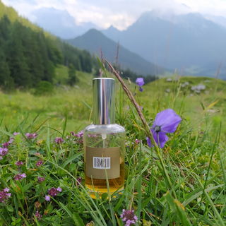 Ormolu durfte mit auf die Alm