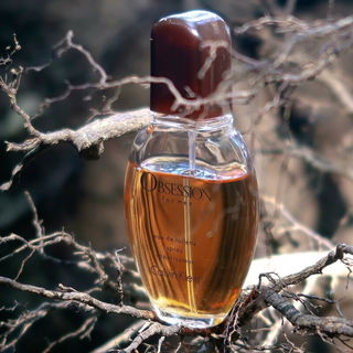 Obsession for Men (Eau de Toilette) von Calvin Klein