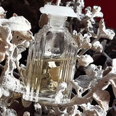 💙❄Silberwinter mit einem Hauch Goldgelb❄💙 (by Kailani)