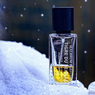 Tigre du Bengale - Malbrum