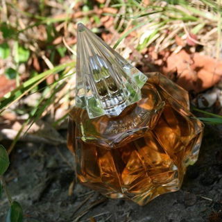 in meinem Garten aufgenommen :-)