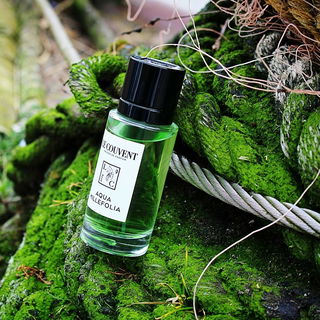 Aqua Millefolia - Le Couvent