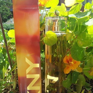 DKNY Women Limited Edition 2013 - Fall von DKNY