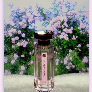 Drôle de Rose - L'Artisan Parfumeur