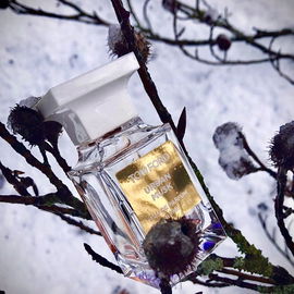Urban Musk - Tom Ford