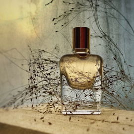 Jour d'Hermès Absolu - Hermès