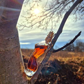Oajan - Parfums de Marly
