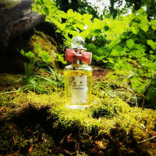 Equinox Bloom - Penhaligon's