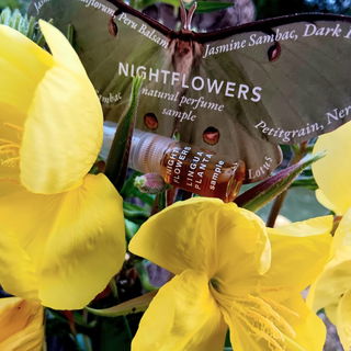 Nightflowers von Lingua Planta