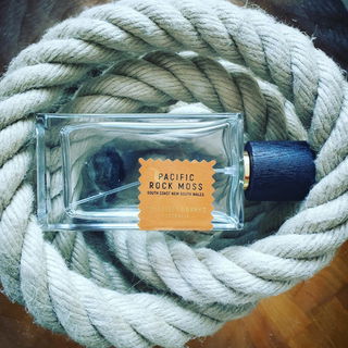 Pacific Rock Moss von Goldfield & Banks