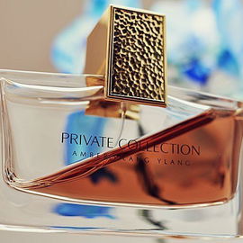 Private Collection Amber Ylang Ylang (Eau de Parfum) - Estēe Lauder