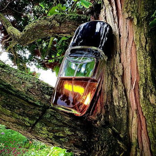 …📷🌍 Thank you. Danke schön. Merci beaucoup. Muchas gracias. Dōmo arigatō gozaimasu 💐…