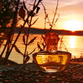 🧡 Die Abendsonne zaubert eine warm-goldene Stimmung 🧡 Lieben Dank Euch allen 🧡 (by MadameLegras)