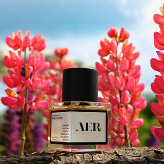 No. 09: Angelica Root - Raer Scents / AER Scents