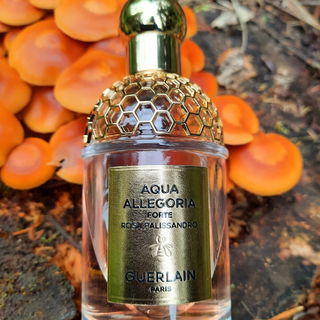 Heute auf dem Waldspaziergang, schön wenns euch gefällt..🍄