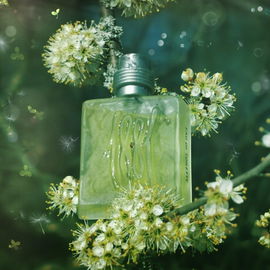 1881 pour Homme (1990) (Eau de Toilette) - Cerruti