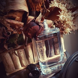 Vibrant Leather (2018) (Eau de Parfum) - Zara
