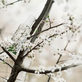 Nettle & Wild Achillea - Jo Malone