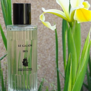 Iris (2014) - Le Galion