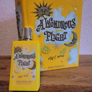 A Wondrous Flight von Mes Bisous