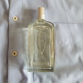 Verveine (Eau de Toilette) - L'Occitane en Provence