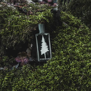 Mint Cocoa - Pineward