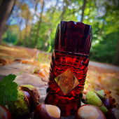 Danke für's Vorbeischauen 🍂🍁🍂 (von DorisKa)