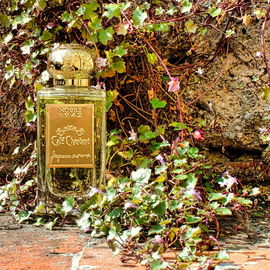 Café Chantant (Eau de Parfum) - Nobile 1942