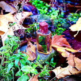 …📷🌍 Thank you. Danke schön. Merci beaucoup. Muchas gracias. Dōmo arigatō gozaimasu 💐…