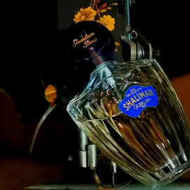 Der Gedanke dazu:Guerlain's Nähstube... Damals.