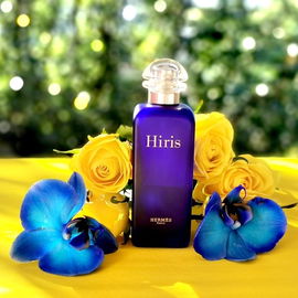 💙💚💛 Farben machen mich glücklich, Eure Fotobesuche auch! Vielen Dank Ihr Lieben! 💙💚💛