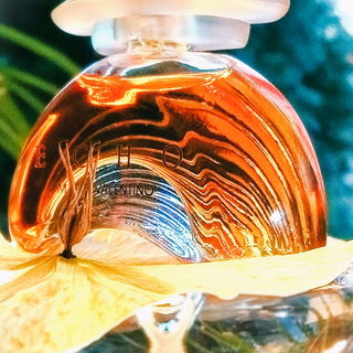 Echo (Eau de Parfum) by Mario Valentino