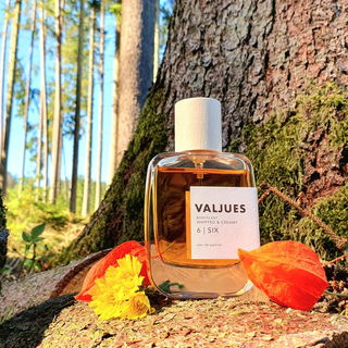 6 | Six - Valjues