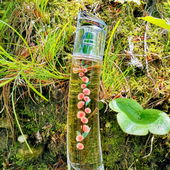 Danke an euch alle! (by Rinana)