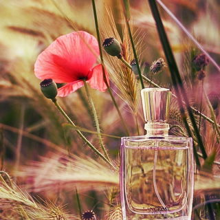 Miracle (Eau de Parfum) - Lancôme